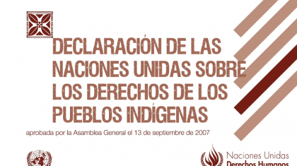 declaracion-pueblos-indigenas-portada