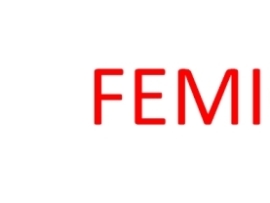 FEMICIDIO21