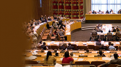 comite_derechos_economicos