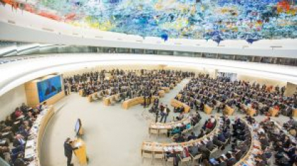 Consejo-Derechos-Humanos-e1519658535268