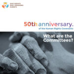 What are the Committees?