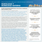 Mortalidad y Morbilidad Materna - Información sobre Salud y Derechos Sexuales y Reproductivos