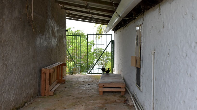 Muelle en Isla Casayeta donde antes llegaban los turistas. Crédito: ©ACNUDH/Oficina Regional para América Central, Juan Caballero