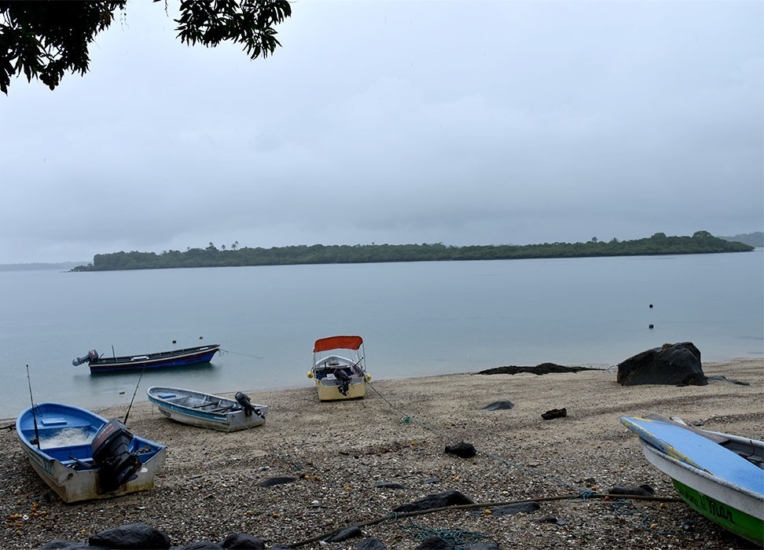 La defensa de lo esencial en las islas afrodescendientes de Panamá